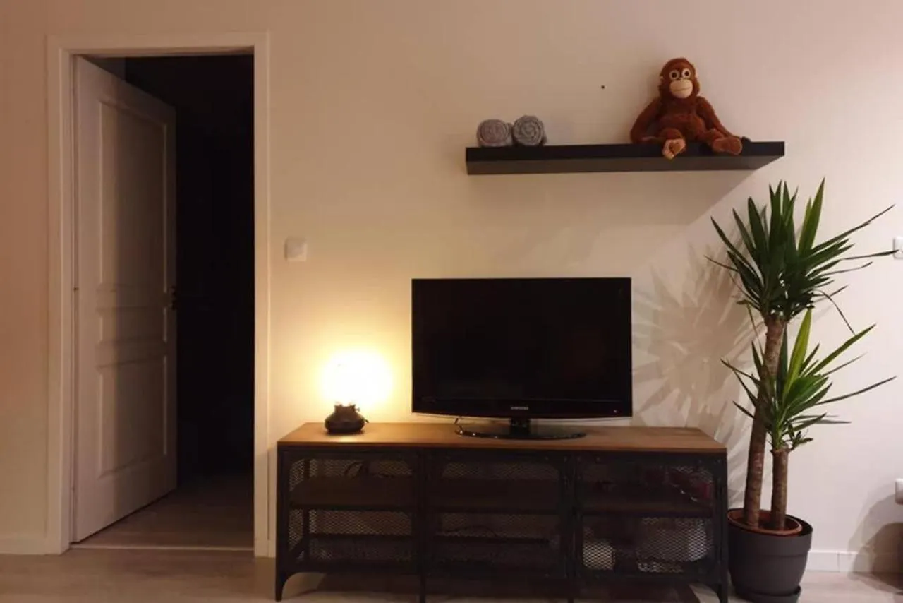 Au Coeur Des Ramblas, Hyper Centre, Entree Autonome, Metro Apartment Toulouse